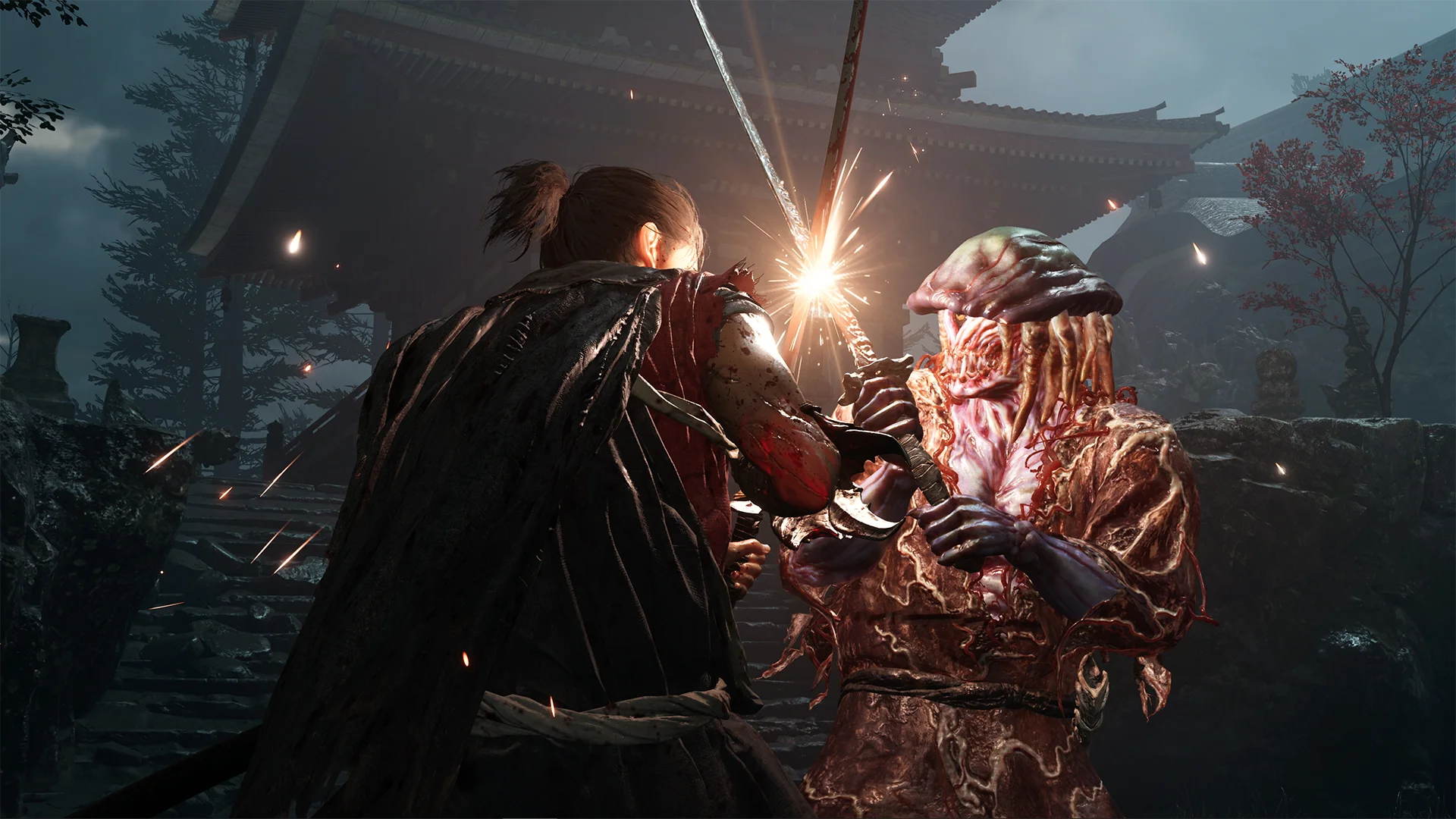 Official gameplay image showing varied swordplay action